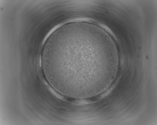 X0000080731420200612151212