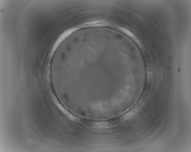 X0000080731421200612151213