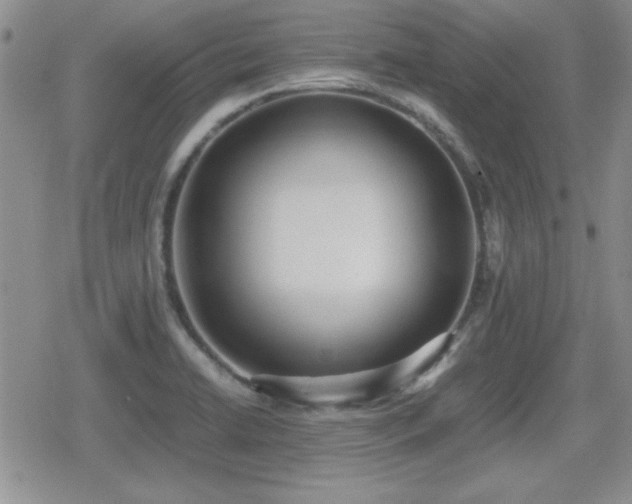 X0000080731422200612151213