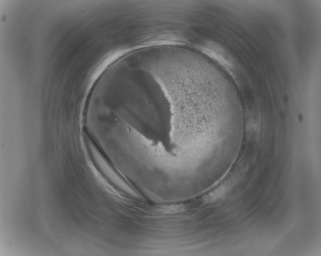 X0000080731423200612151213