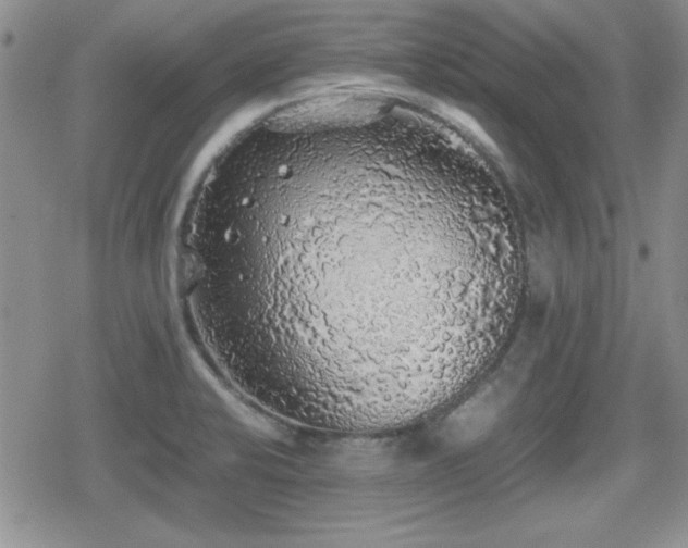 X0000080731424200612151213