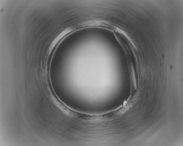 X0000080731426200612151213