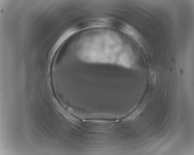 X0000080731427200612151213