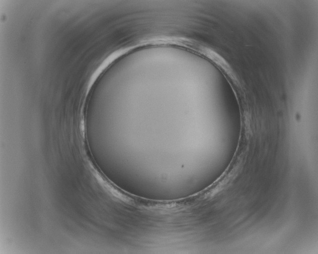 X0000080731428200612151213