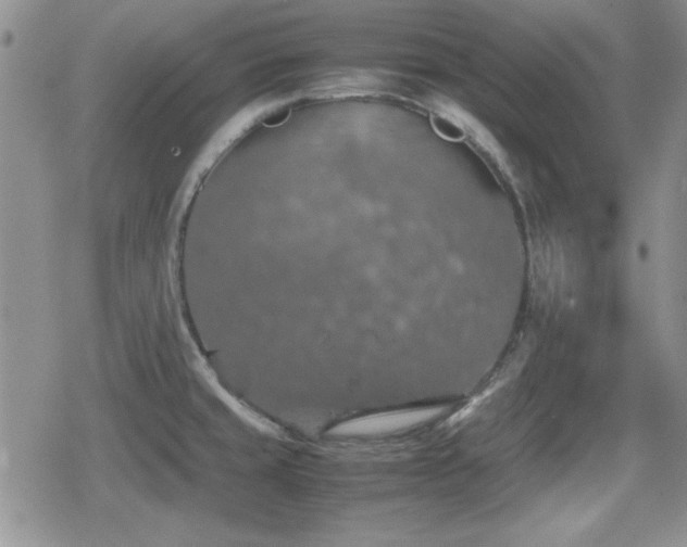 X0000080731429200612151213