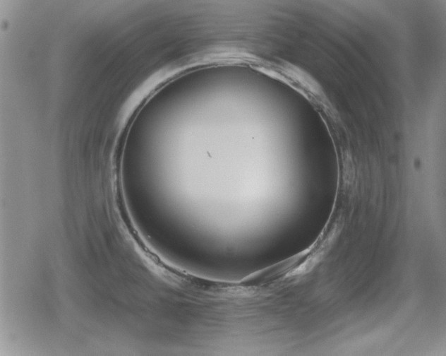 X0000080731430200612151213