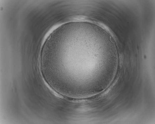 X0000080731432200612151213