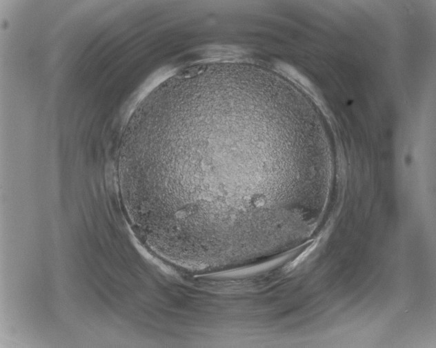 X0000080731433200612151213