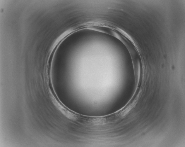 X0000080731434200612151213