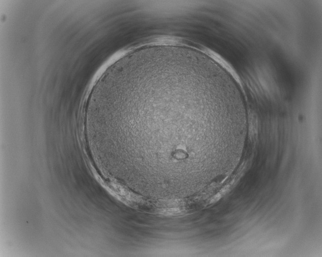 X0000080731437200612151213