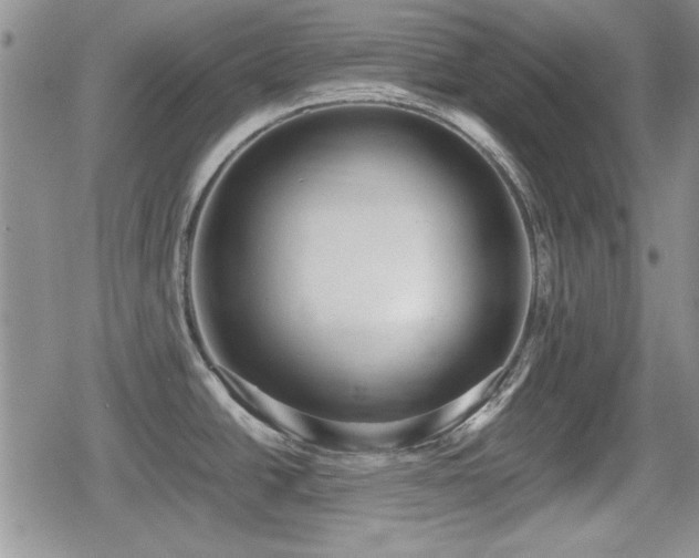 X0000080731438200612151213