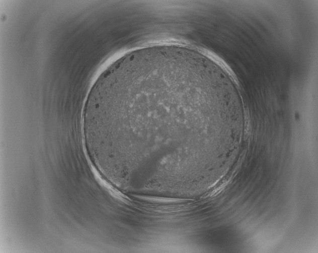 X0000080731439200612151213