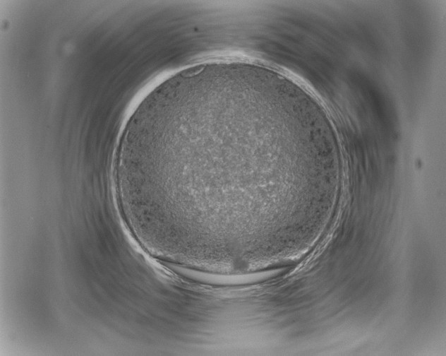 X0000080731440200612151213