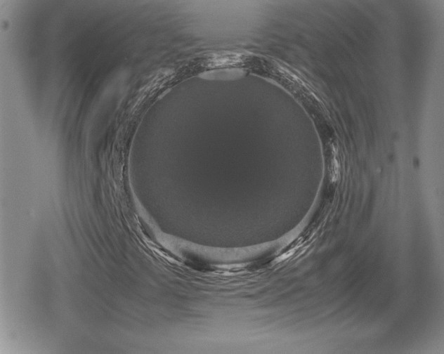 X0000080731441200612151212