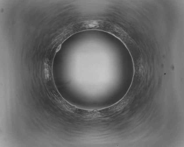 X0000080731442200612151212