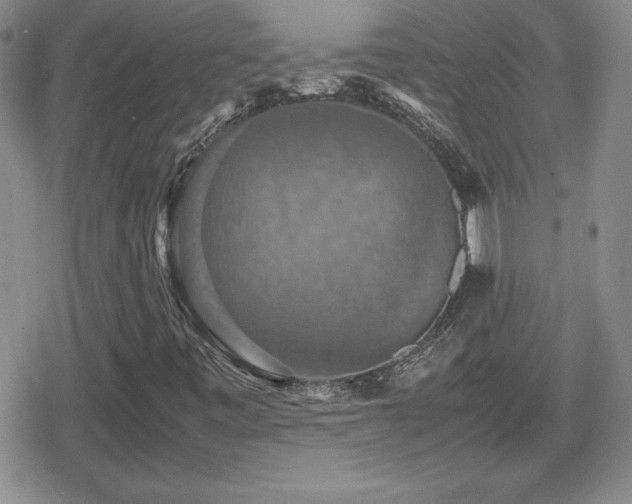 X0000080731443200612151212