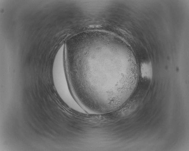 X0000080731444200612151212