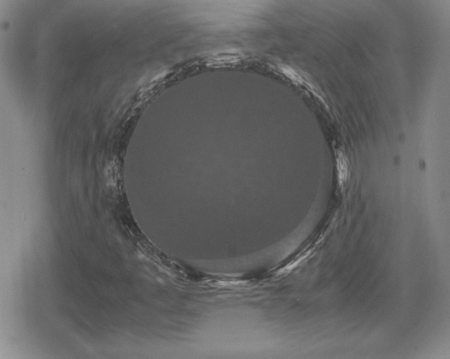 X0000080731445200612151212