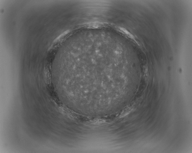 X0000080731446200612151212