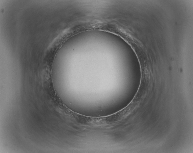 X0000080731447200612151212