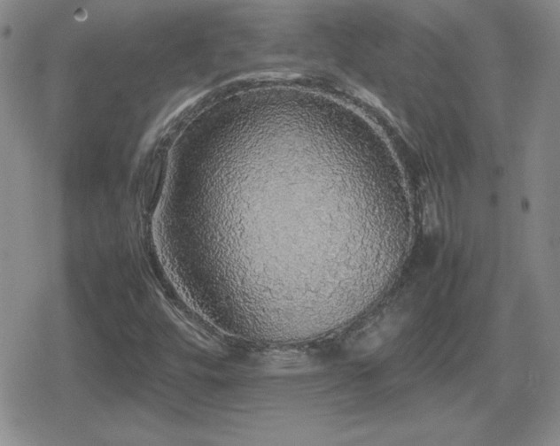 X0000080731448200612151212