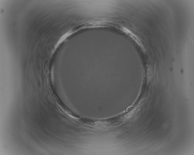 X0000080731449200612151212