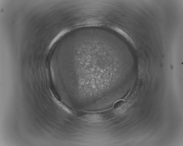 X0000080731450200612151212