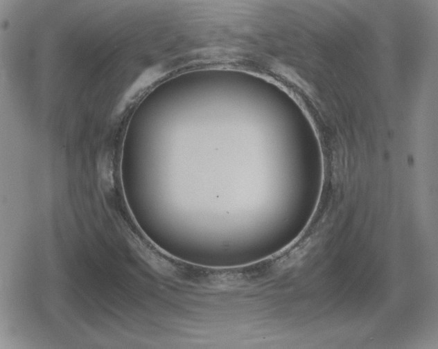 X0000080731451200612151212