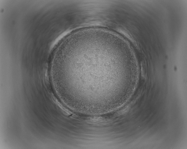 X0000080731452200612151212