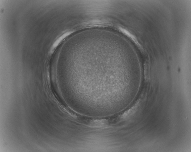 X0000080731453200612151212