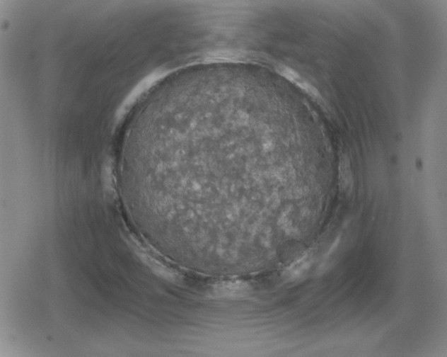 X0000080731454200612151212