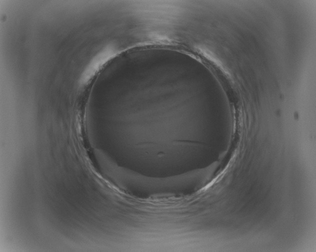 X0000080731455200612151212