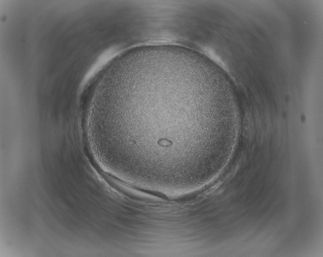 X0000080731456200612151212