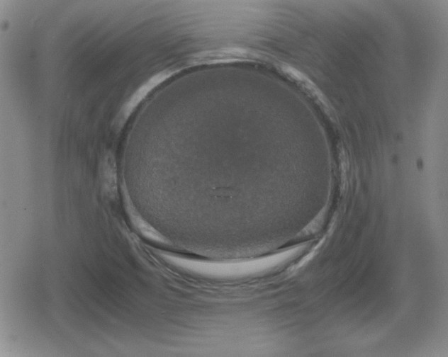 X0000080731457200612151212