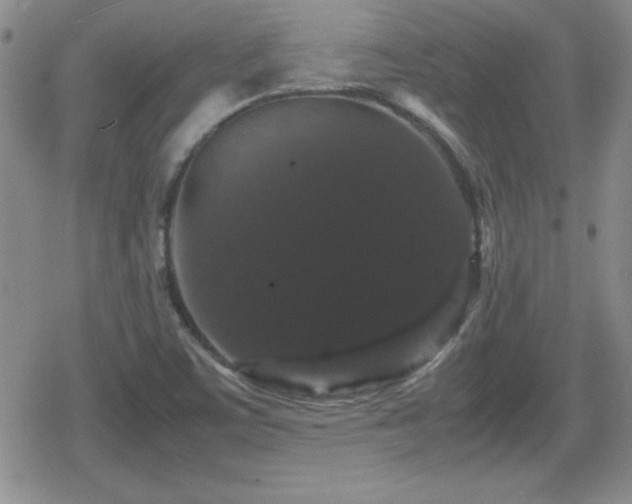 X0000080731459200612151212