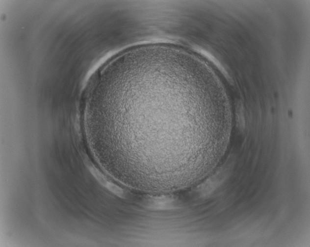 X0000080731460200612151212