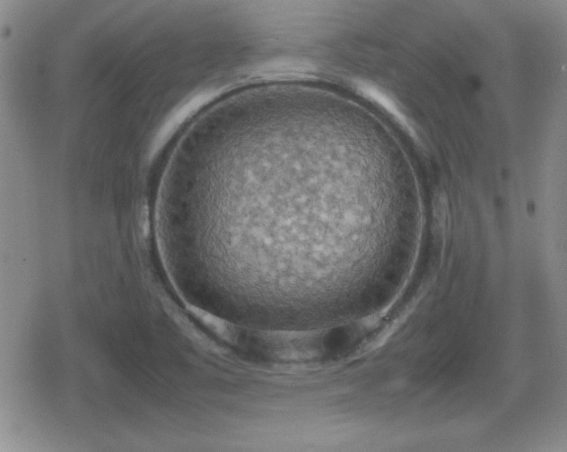 X0000080731461200612151212