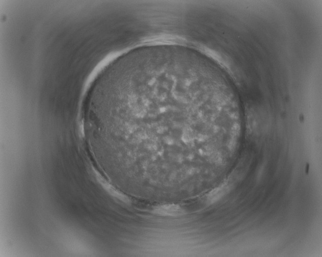 X0000080731462200612151212