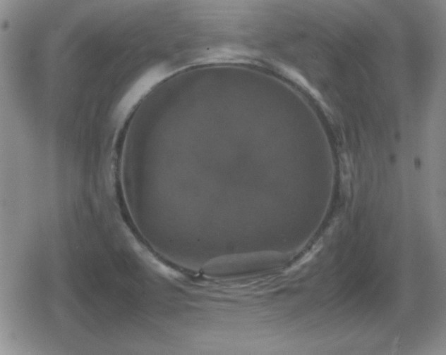 X0000080731463200612151212