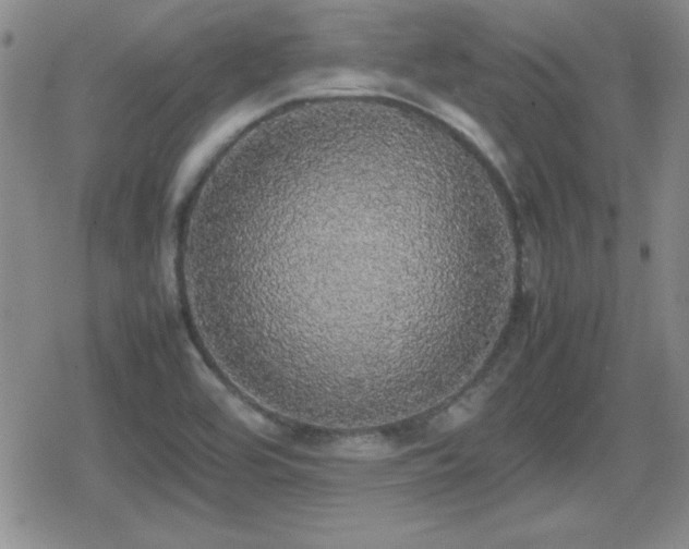 X0000080731464200612151212