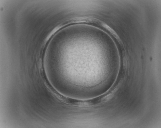 X0000080731465200612151212