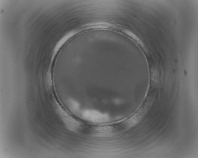 X0000080731466200612151212