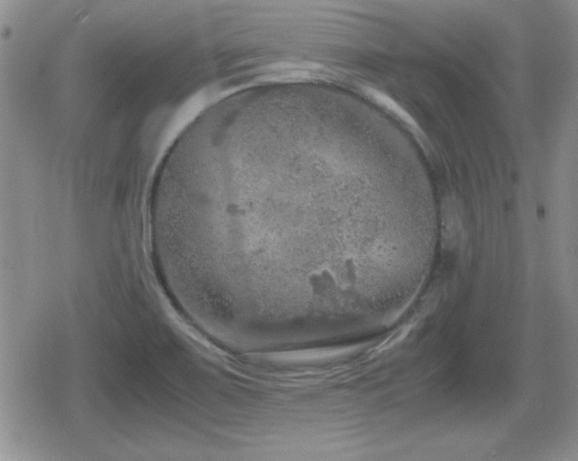 X0000080731467200612151212