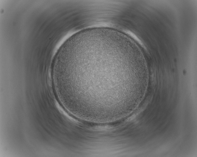 X0000080731468200612151212