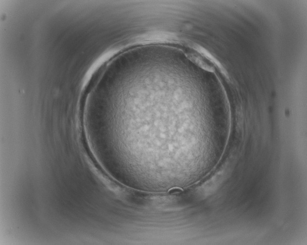 X0000080731469200612151212