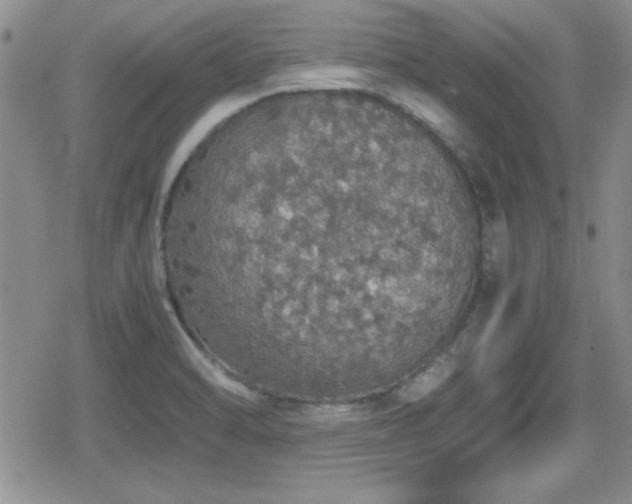 X0000080731470200612151212