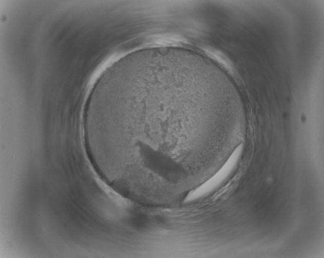 X0000080731471200612151212