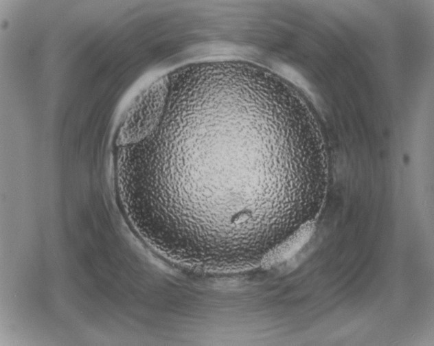 X0000080731472200612151212