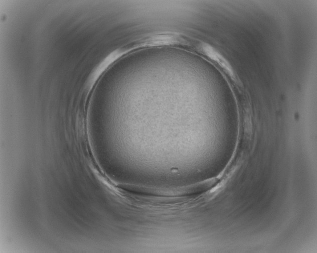 X0000080731473200612151211