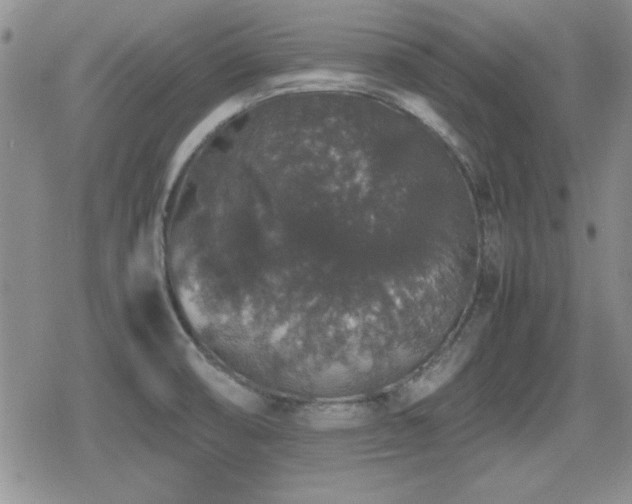 X0000080731474200612151211